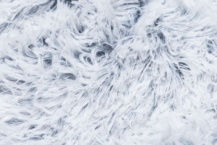 beeztees Orthopädisches Plüschbett Siba